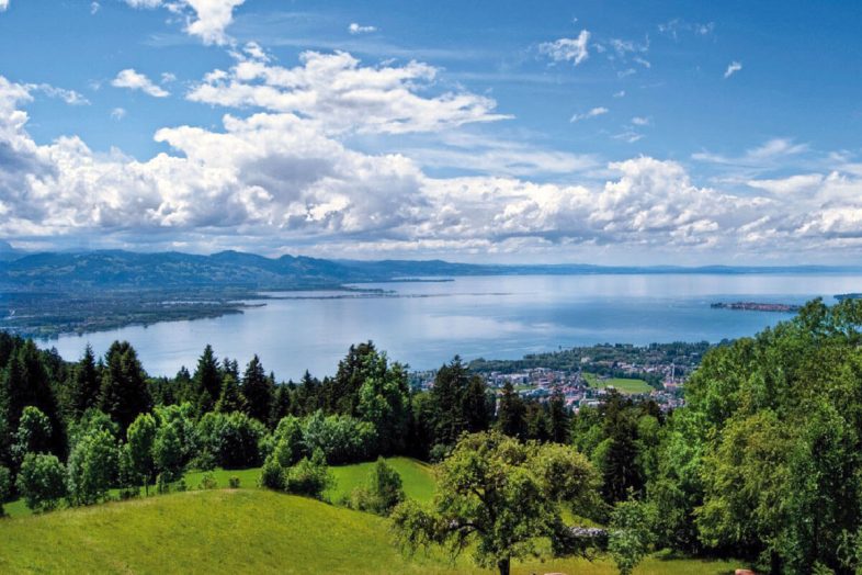 Swim in Lake Constance
